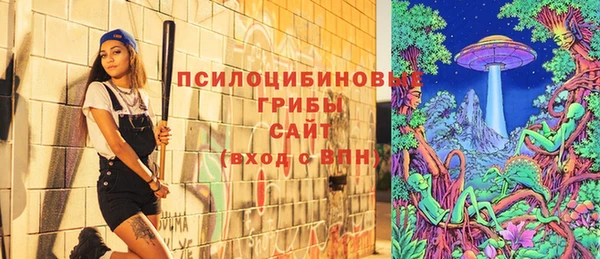 ECSTASY Алзамай