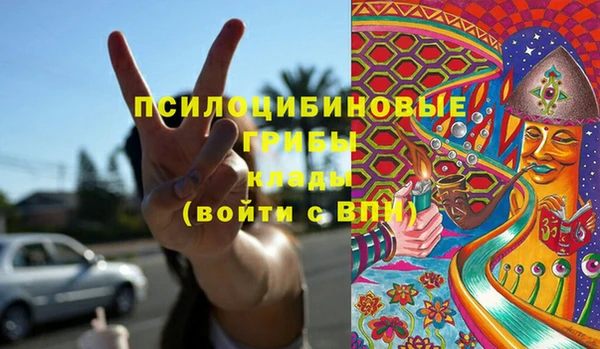 ECSTASY Алзамай