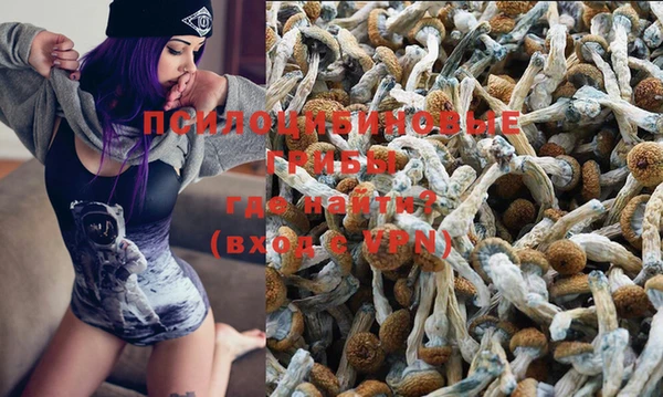 ECSTASY Алзамай